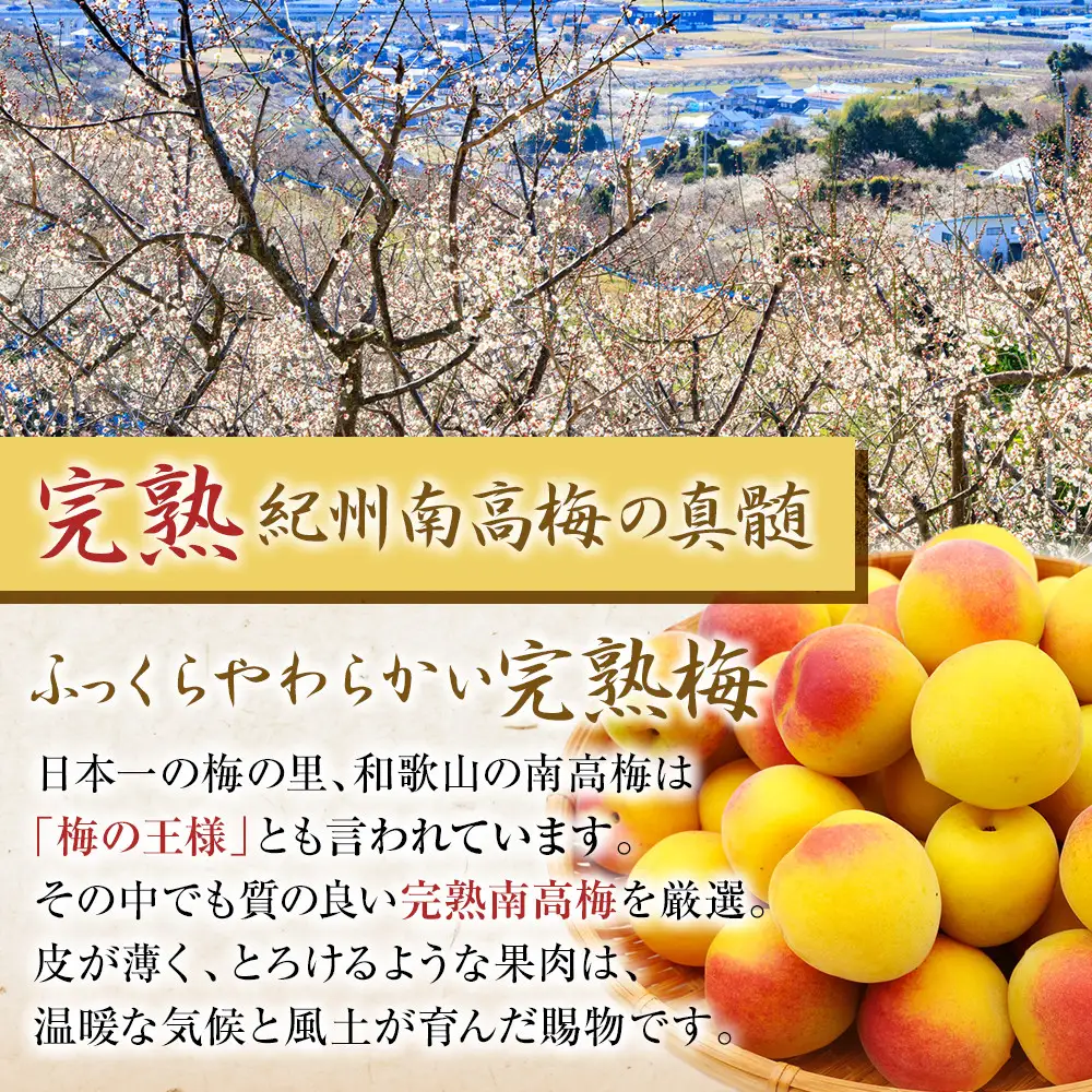 梅干し 猿梅 はちみつ梅 塩分8％ 500g