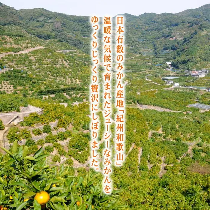 和歌山みかんジュース（750ml×6本入り）果汁100％無添加ストレート