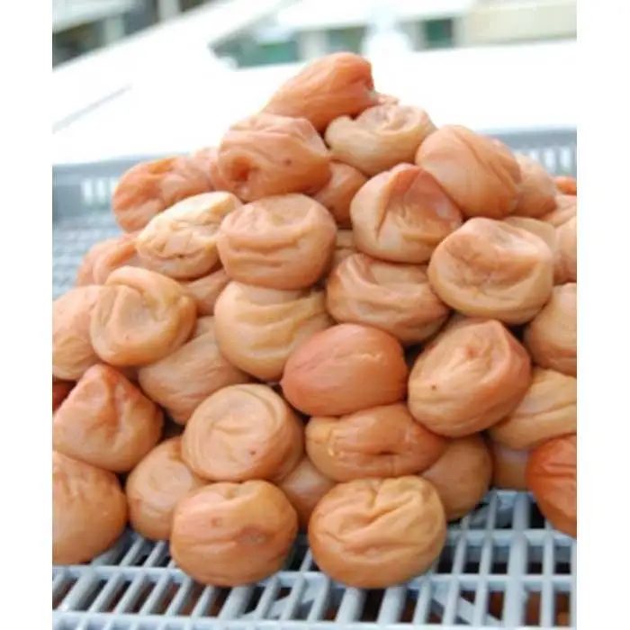 紀州南高梅　はちみつ漬け5Kg
