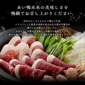 鼓道の鴨鍋 2人前【大阪府吹田市】お取りよせ グルメ 国産最上級 あい鴨 カモ肉 鴨鍋 惣菜 出汁入り 詰め合わせ 