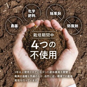 【 2026年先行予約 】奄美 の 島らっきょう 1kg A139-002 らっきょう 先行予約 先行受付 先行 予約 おつまみ 天ぷら 奄美産 野菜 POKAPUKA ふるさと納税 奄美市 おすすめ ランキング プレゼント ギフト