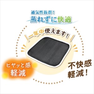 メッシュ座布団 黒 2枚 〈丹波市〉 クッション 蒸れ防止 座布団