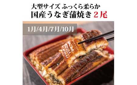 【3回定期便】まんぞく定期便！ うなぎ･高級和牛･マグロ【tkb104】