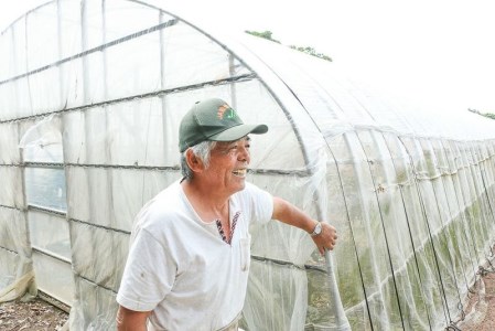 【2026年 観光雑誌付き】奄美産マンゴー 秀品・美玉1kg とろける甘さの黄金果肉 樹上完熟 A052-018