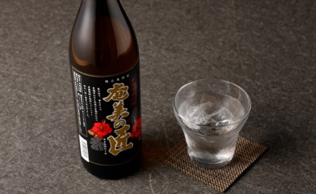 奄美の匠 900ml × 2本 セット 黒糖焼酎 焼酎 酒 お酒 AG-120