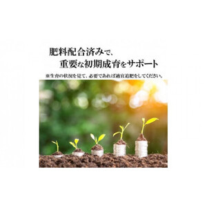 【播種・移植用培養土】種まき培土30L×2袋セット