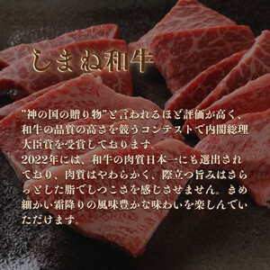 ごろっとしまね和牛カレー　4食セット