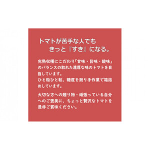フルーツトマト【出雲の加田屋】加田屋トマト糖度7以上8未満