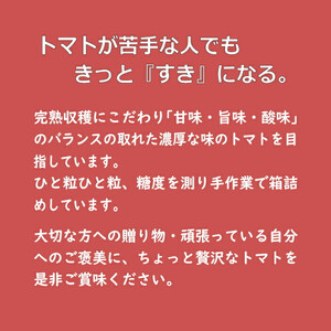 高糖度フルーツトマト【出雲の希トマト】糖度１０以上　クール便配達