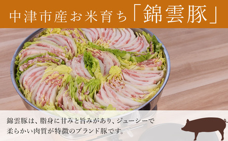 高級 ブランド 錦雲豚 たっぷり 3kg 詰め合わせ 6種 セット | お肉 肉 豚肉 豚 お米育ちの 錦雲豚 ブランド豚 しゃぶしゃぶ 生姜焼き 丼 バラ ロース モモ ミンチ うで 冷凍 大分県 中津市