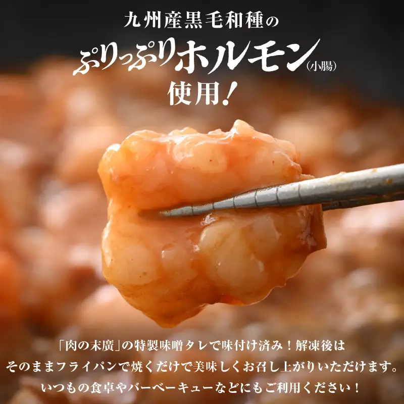 【訳あり】ホルモン  黒毛和牛 800g 特製タレ味付き 国産牛 冷凍  小分け【 小腸 】[e02-a016]
