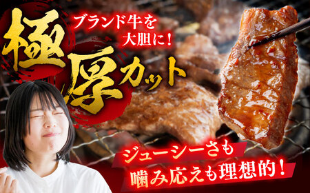 佐賀牛 焼肉用 500g やきにく ブランド牛[FDB008]