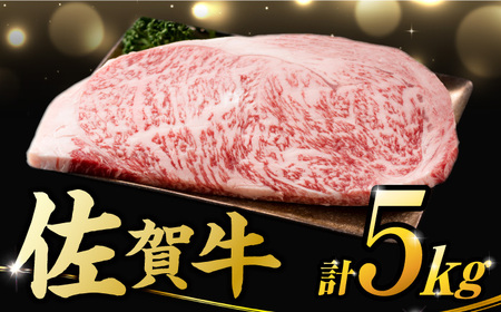 【不揃い訳あり】佐賀牛 サーロインステーキ 5kg ( 250g 2枚入り×10パック) 吉野ヶ里町 訳あり 訳アリ 不揃い ふぞろい 厚み不揃い 規格外 佐賀牛 牛肉 肉 サーロイン ステーキ 国産 ブランド牛[FDB012]