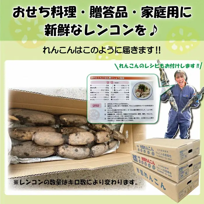 由美屋特選！岩国産れんこん3kg(土付き)【有限会社 由美屋】