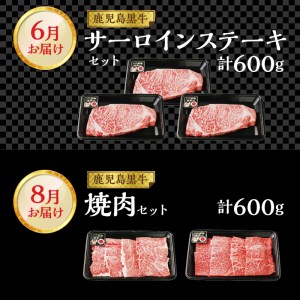 偶数月にお届け ！ 鹿児島黒牛 定期便 6回定期便 W032-017u 肉 牛肉 冷凍