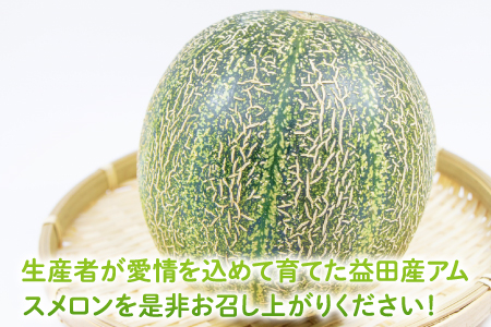 B-999 めっちゃ甘いアムスメロン4～5玉