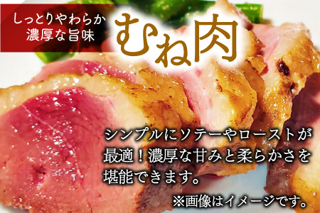 A-868 田んぼで育ったアイガモ肉丸ごと1～2羽分(700ｇ以上)