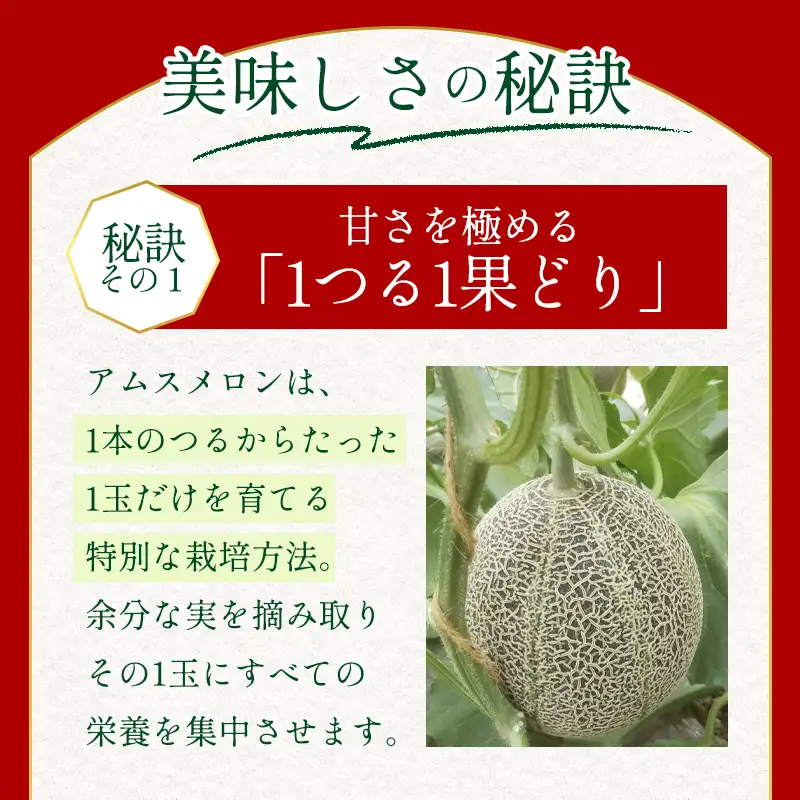 C-528 特選アムスメロン 5kg（4?5玉）糖度16度以上