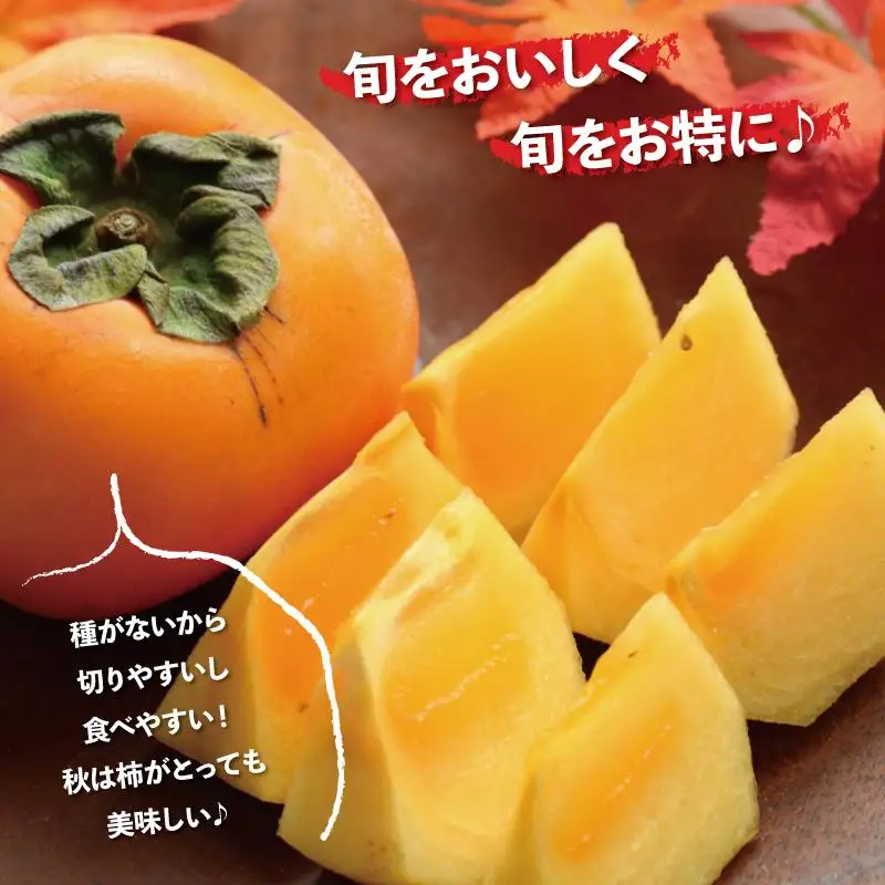 ［先行予約］厳選 たねなし柿 約2.5kg［刀根早生・平核無柿（ひらたねなしかき）］［カキ・種無柿・種無し柿・種なし柿・無核柿］［IKE95］