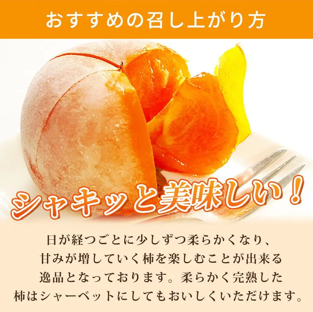 平核無柿（ひらたねなしがき）約２kg　化粧箱入　和歌山秋の味覚［2026年発送］［UT35］柿