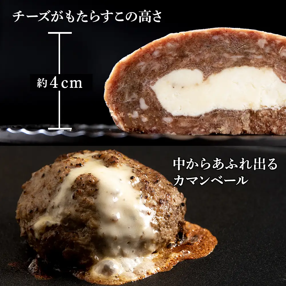 定期便12ヵ月 お楽しみ 北海道産 白老牛 カマンベールチーズハンバーグ 5個セット BY114