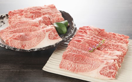 宮崎牛 肩(ウデ)スライス500g_K18_0016_8