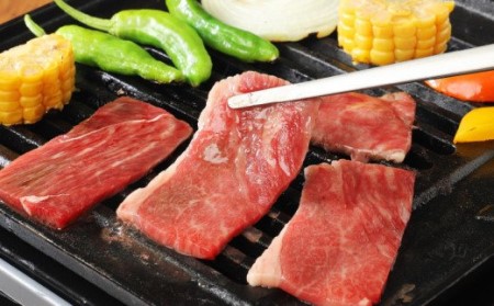 宮崎牛 肩(ウデ) 焼肉500g_K18_0017_8