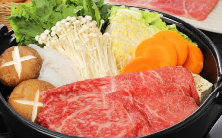 宮崎牛 モモ スライス500g_K18_0018_8