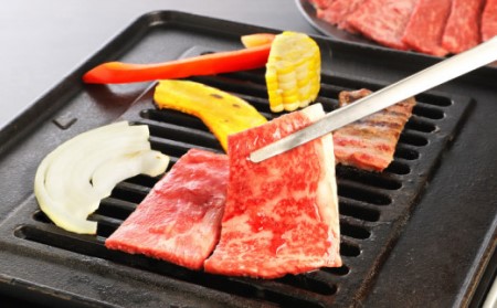 宮崎牛 モモ 焼肉500g _K18_0019_8