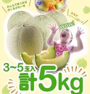 SA2930　庄内砂丘 『アンデスメロン』　約5kg(青肉/3～5玉入)