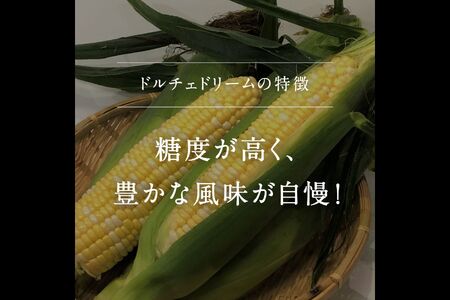 南部町産 朝採れスイートコーン（バイカラー種）5kg箱 2026年収穫分＜数量限定＞