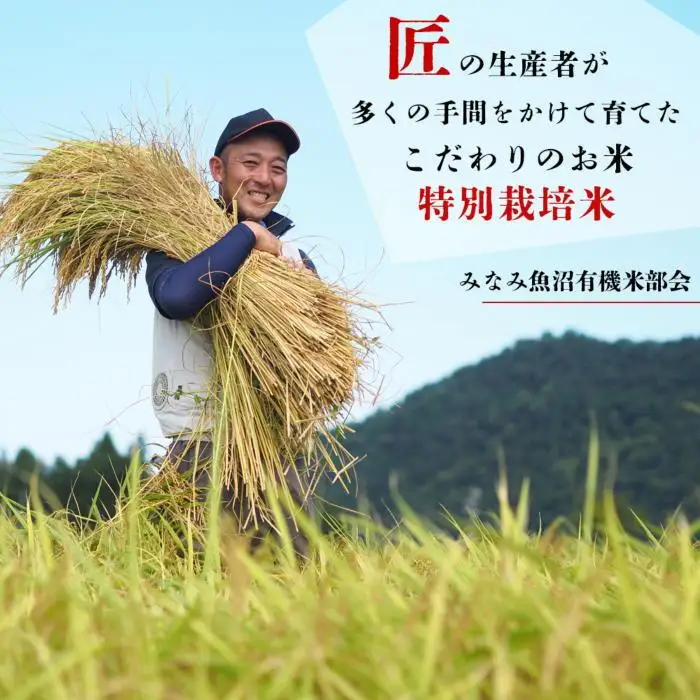 【令和7年産】特別栽培米南魚沼産こしひかり「雪穂」玄米 5kg ≪農薬5割削減 特A獲得日本一産地 精選玄米 もっちり甘い 南魚沼産コシヒカリ コシヒカリ こしひかり 銘柄米 玄米 ブランド米 南魚沼産 新潟米 高評価 甘み 国産米 産地米 家庭米 ご飯≫