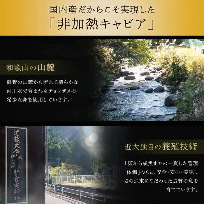 近大キャビア10g×2個 ［KD5］