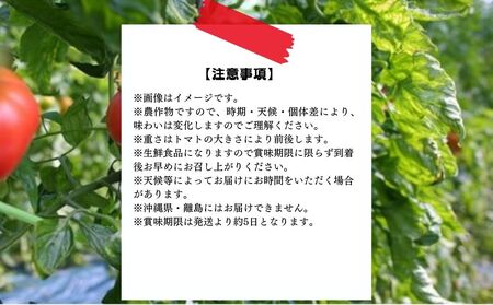 ミネラルトマト（大玉完熟トマト）4kg満杯詰め（15個～24個） | 大玉 甘味 甘い 濃厚 ミネラル 旬 茨城県 常総市 ※2026年4月上旬～6月中旬頃に順次発送予定