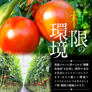 プレミアムトマトまいひめ物語トマトジュース(プラチナラベル) _U27-0023