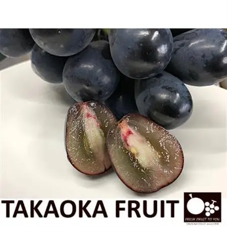 2026年発送「産地より信州中野の旬をお届け」 ナガノパープル　贈答用　約1kg【配送不可地域：離島】【1311109】