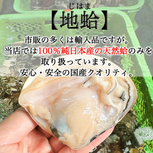 大粒!天然はまぐり(特特大サイズ)170g前後×10個入り 個包装 岬だより