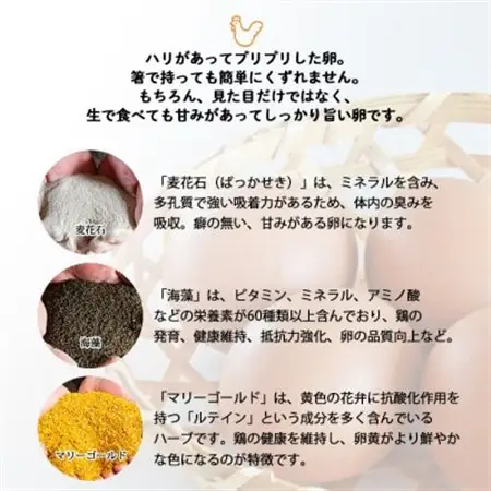 【生みたて濃厚】谷川養鶏の美人たまご　50ヶ入り(※サイズ指定できません)_卵・乳製品 卵  たまご タマゴ 玉子_【配送不可地域：離島】【1390274】
