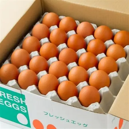 【生みたて濃厚】谷川養鶏の赤たまご　50ヶ入り(※サイズ指定できません)_卵・乳製品 卵  たまご タマゴ 玉子_【配送不可地域：離島】【1390290】