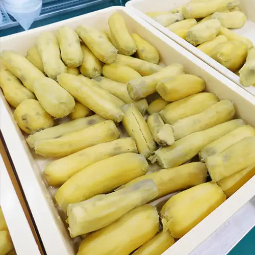 坂東市産　干し芋　紅はるか（計900g/180g×5袋） No.213