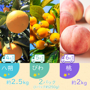 【全12回】坂出市四季のオススメ！旬果実単品定期便♪