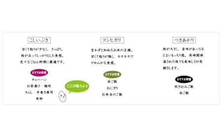 コシヒカリ・こしいぶき・つきあかり 2合(300g)×3種セット 食べ比べ 新潟県産 米 令和7年産  [内山農園] 【010S293】