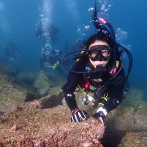 ダイビング 体験チケット 大人1名1回 伊豆半島 スキューバダイビング