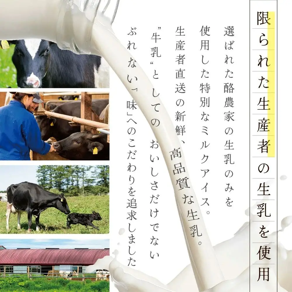 【毎月定期便】 THE ICE 業務用1リットル エキストラ ミルク×10ヵ月定期便  be003-1074-100-10  （ あいす アイス アイスクリーム ミルク 業務用 北海道 別海町 人気 ふるさと納税 ）