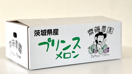 メロン プリンスメロン 1箱 約5kg  7～8玉 八千代町産 先行予約