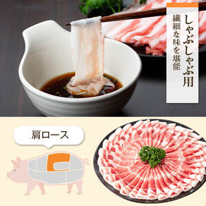 【A02044】特選黒豚モモ・黒豚肩・黒豚餃子セット 鹿児島 国産 九州産 黒豚 豚肉 お肉 モモ 肩ロース 餃子 ぎょうざ トンカツ しゃぶしゃぶ すきやき おかず 惣菜【和田養豚】