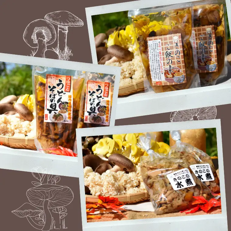 きのこ 加工品 詰め合わせ 5点 セット【茨城県共通返礼品 城里町】 惣菜 おかず きのこ 加工品 [CX004sa]