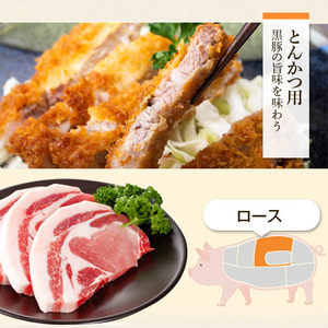 【B02077】特選黒豚とんかつセット(計約1.6kg)、黒豚餃子(12個入×1P)付き！ 鹿児島 国産 九州産 黒豚 豚肉 お肉 ロース モモ 餃子 ぎょうざ 焼肉 とんかつ【和田養豚】
