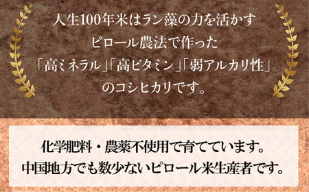 人生100年米（ピロール米） 5kg ［令和7年産］ ／ピロール米 コシヒカリ 白米 化学肥料不使用 農薬不使用 美味しい お米 島根県産 ミネラル ビタミン 栄養豊富 健康 ごはん 島根県 安来市【価格変更】【31-TB-03】