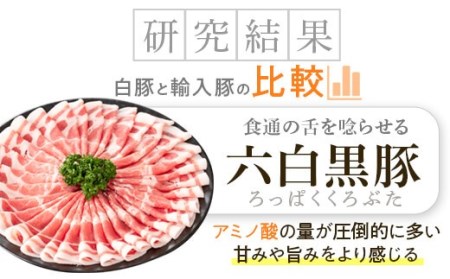 【B02092】特選黒豚バラエティセット(約1.4kg)・黒豚焼豚2個付き！バラ肉(焼肉用)、黒豚ロース(トンカツ用)、黒豚モモ、黒豚焼豚、黒豚餃子のセット 鹿児島 国産 九州産 黒豚 豚肉 お肉 焼豚 叉焼 チャーシュー 餃子 ぎょうざ ギョーザ 惣菜 ギフト 贈答【和田養豚】